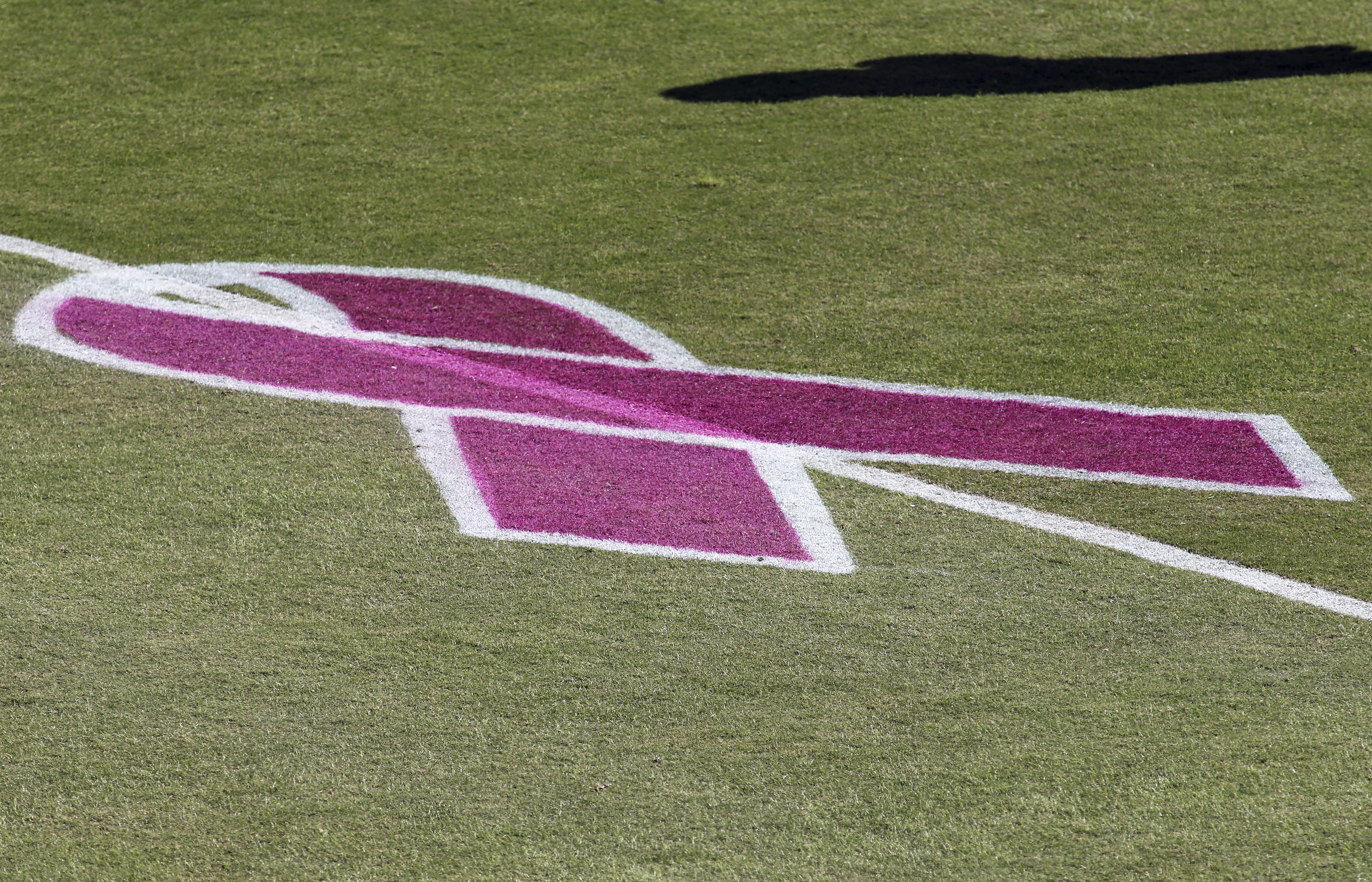 Ravens Washington Football