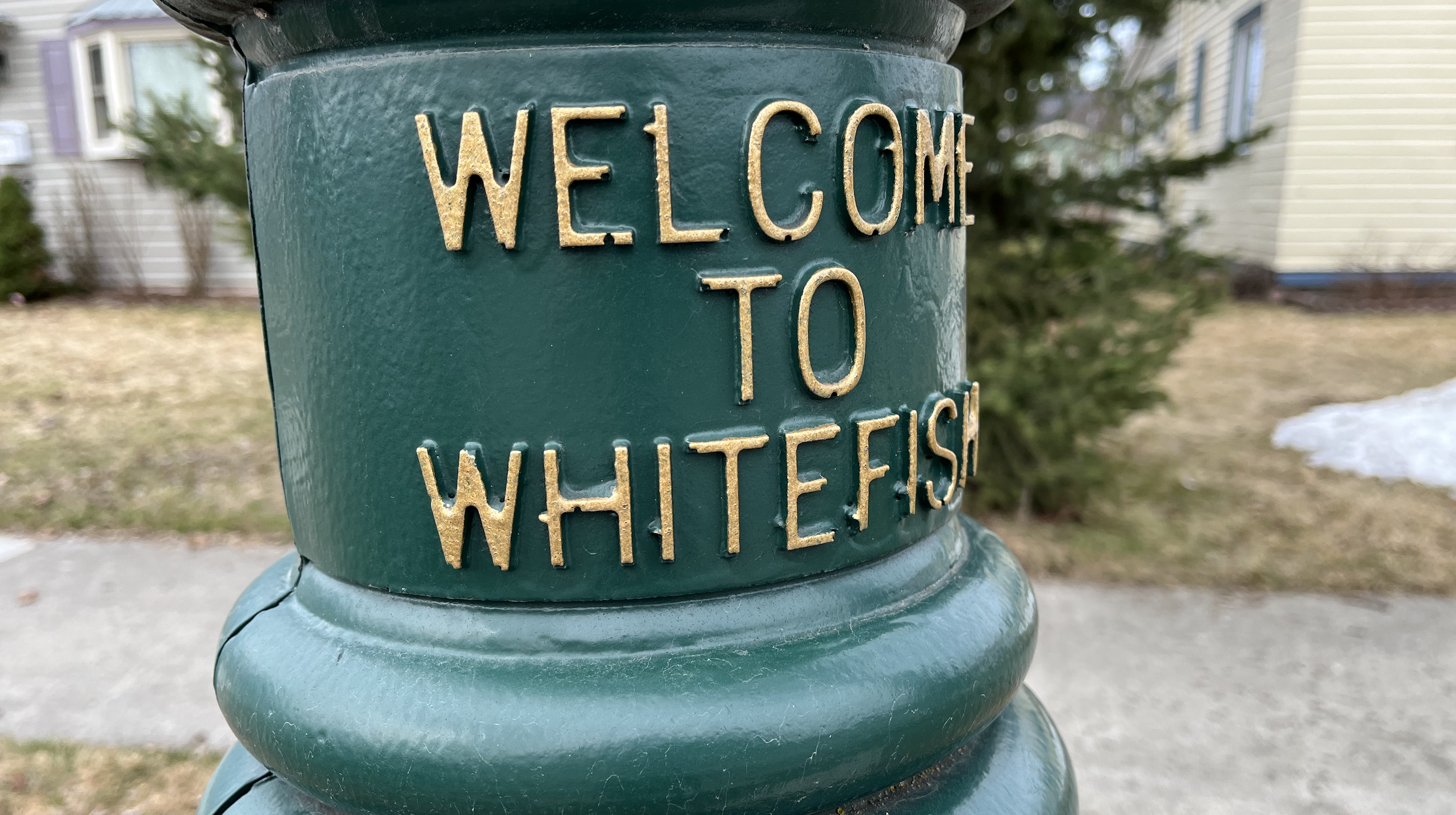 Whitefish