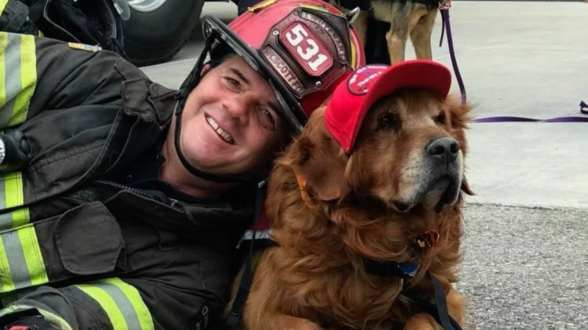 Go Team Therapy Dogs founded during Waldo Canyon Fire