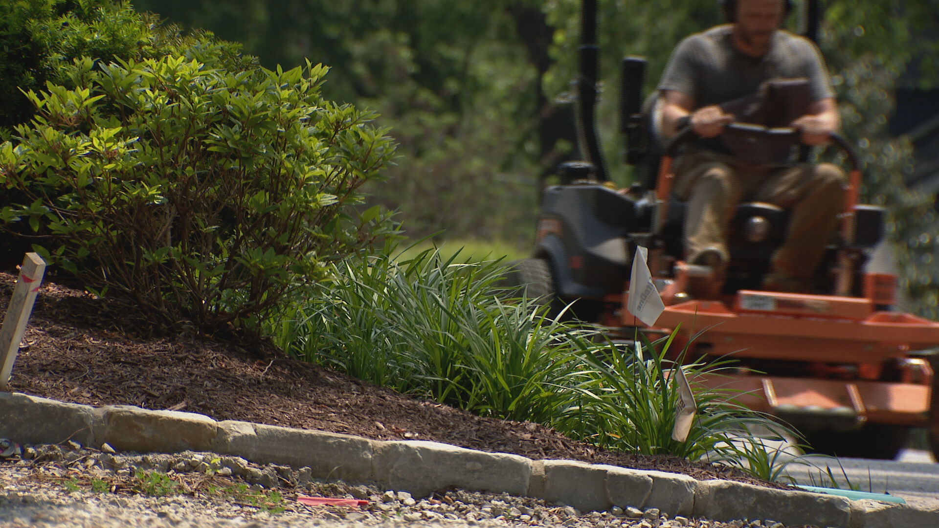 Lawn care