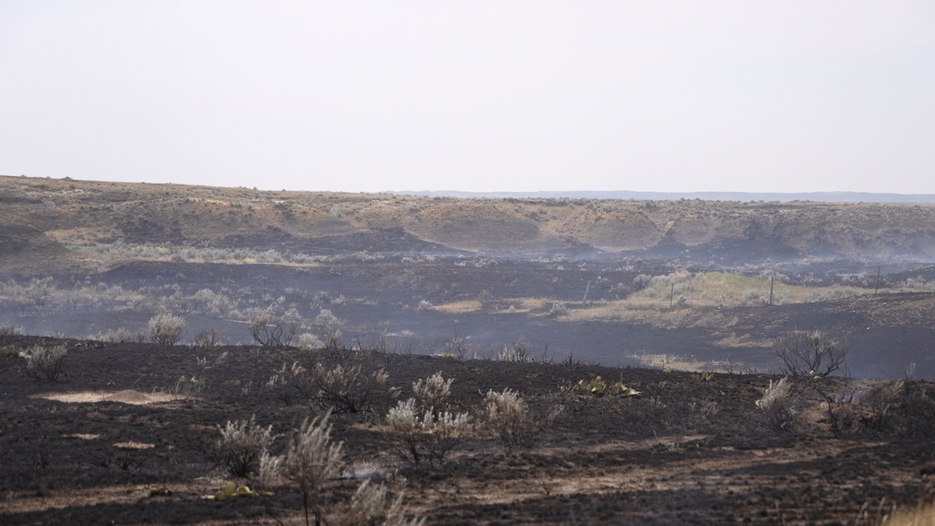 custer county wildfire