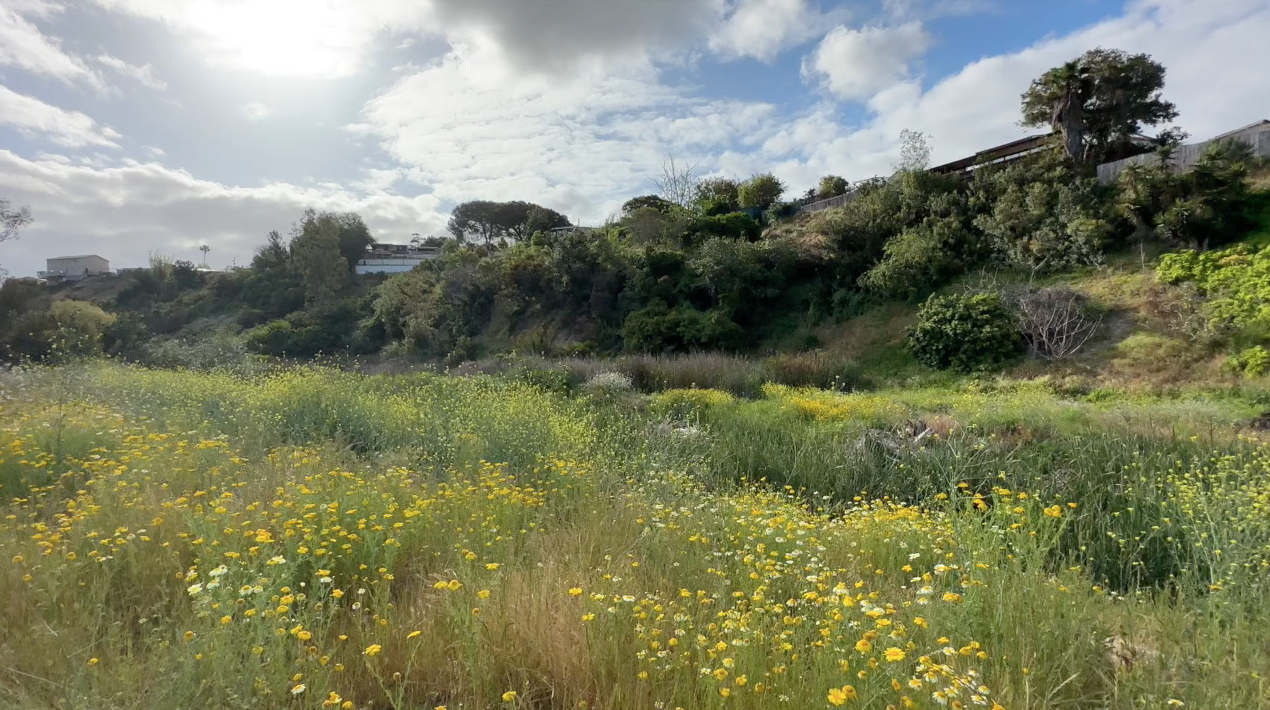 Chollas creek trail pitch