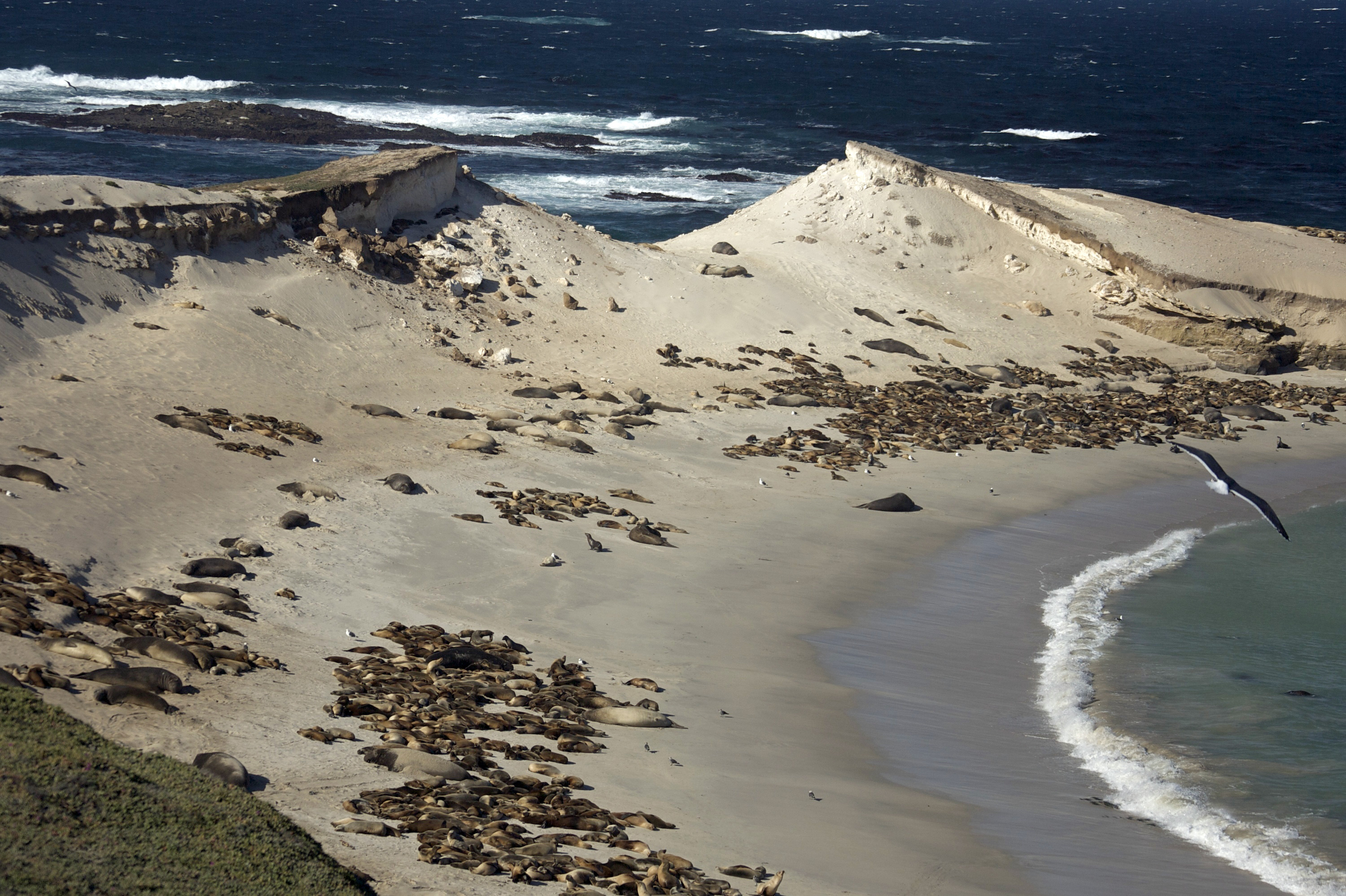 California Tribes-Coastal Protection