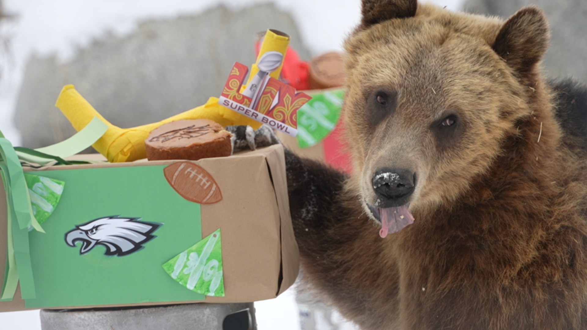 Grizzlies predict Super Bowl 2025