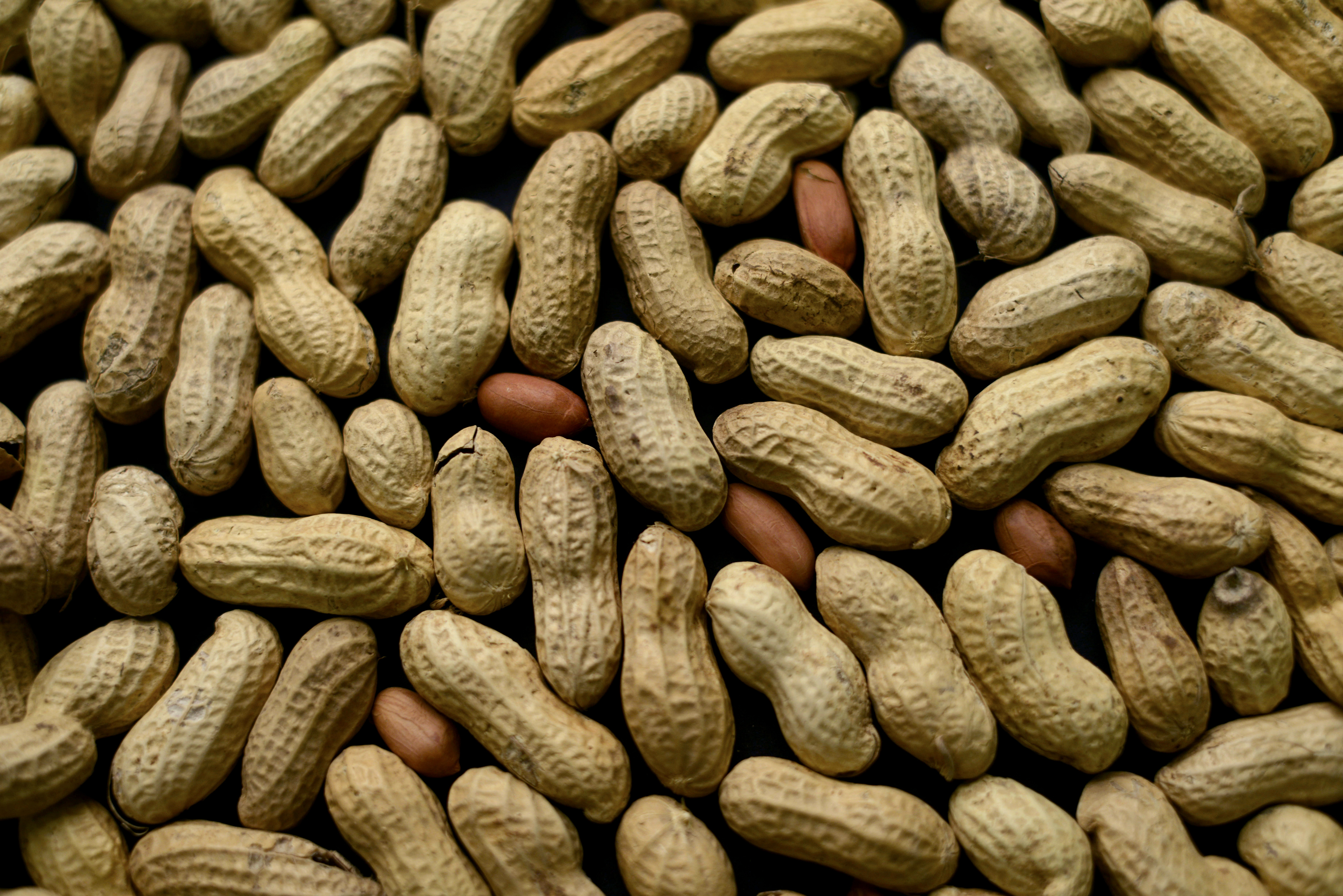 Peanuts