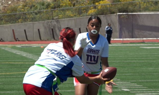 SHE ROCKS FLAG FBALL.png