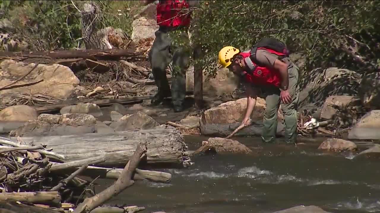 Poster image - 2021-09-18T170847.426.jpg