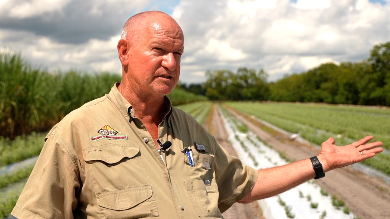 FOOD TRACEABILITY LAW IMPACTS THUMB.jpg