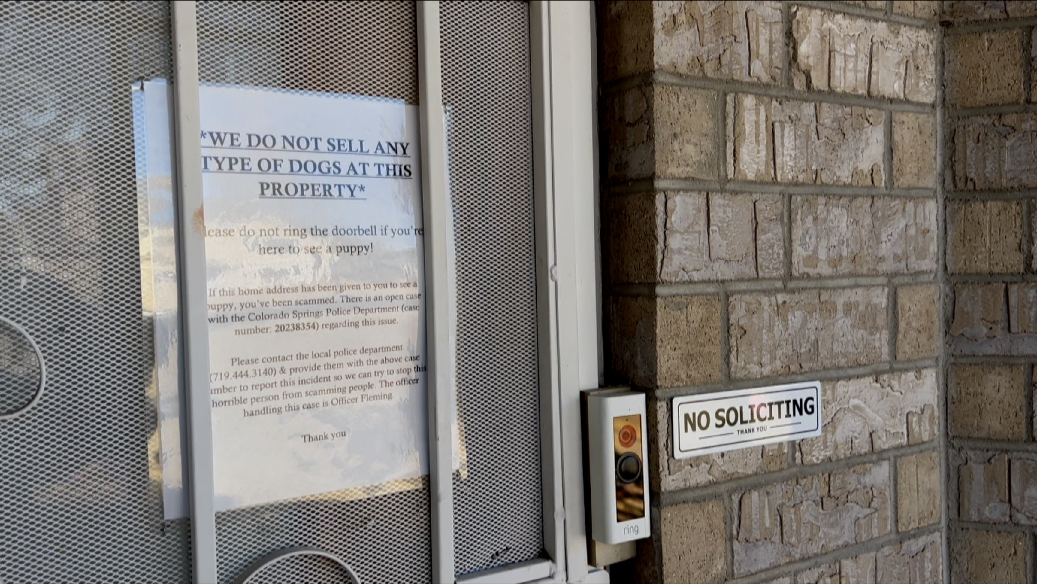 Fraudsters use family's home address on their website in costly puppy scam 