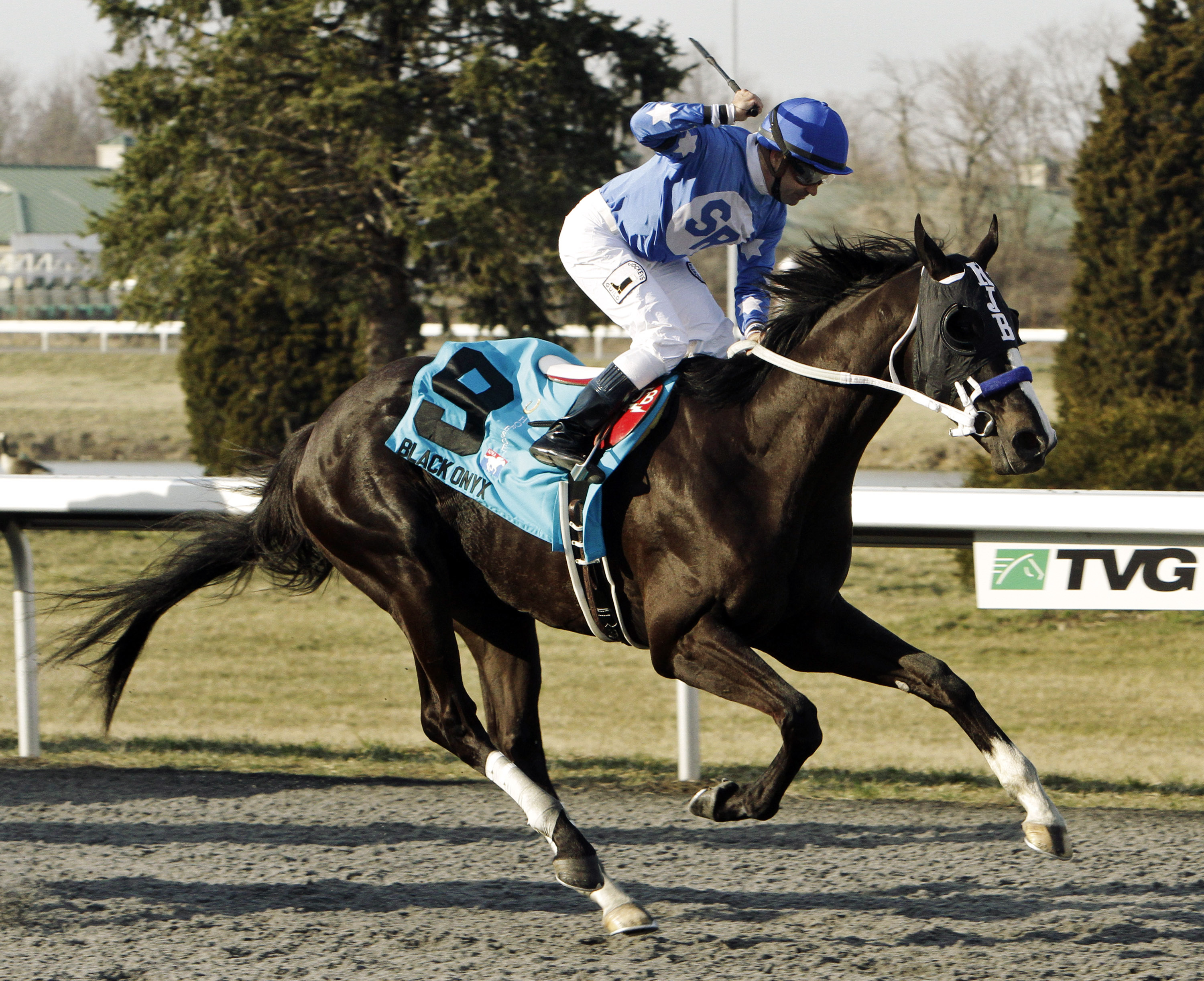 Joe Bravo, Black Onyx