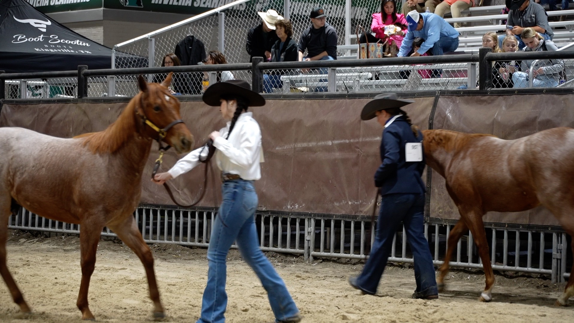 horses.jpg