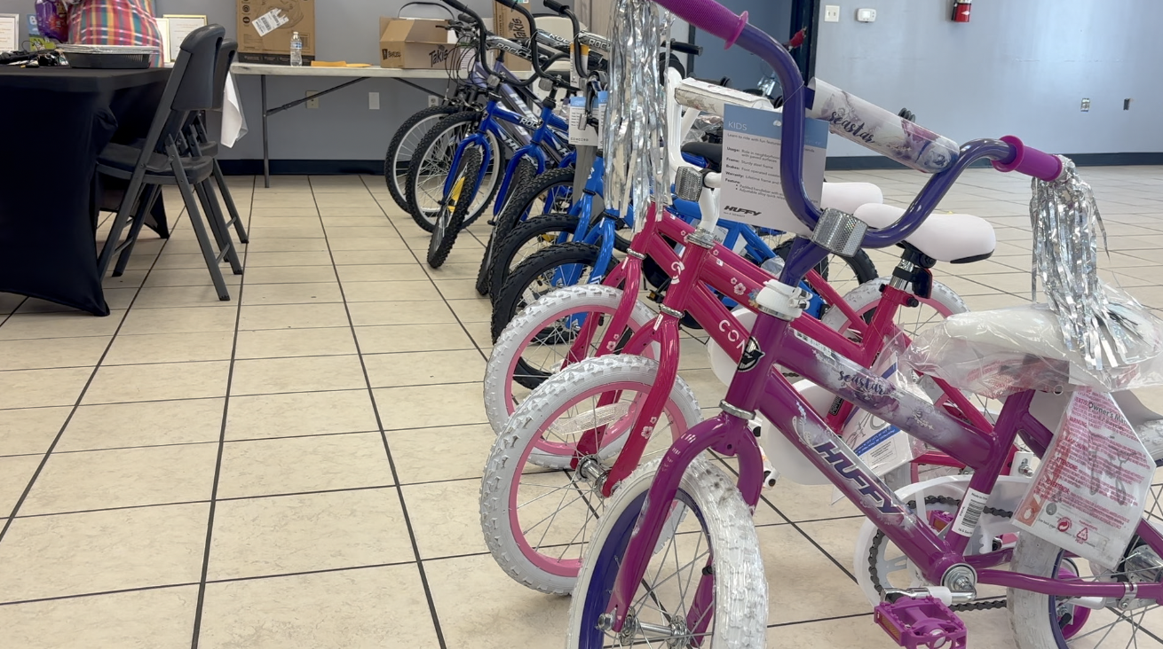 QUINCY BIKE 