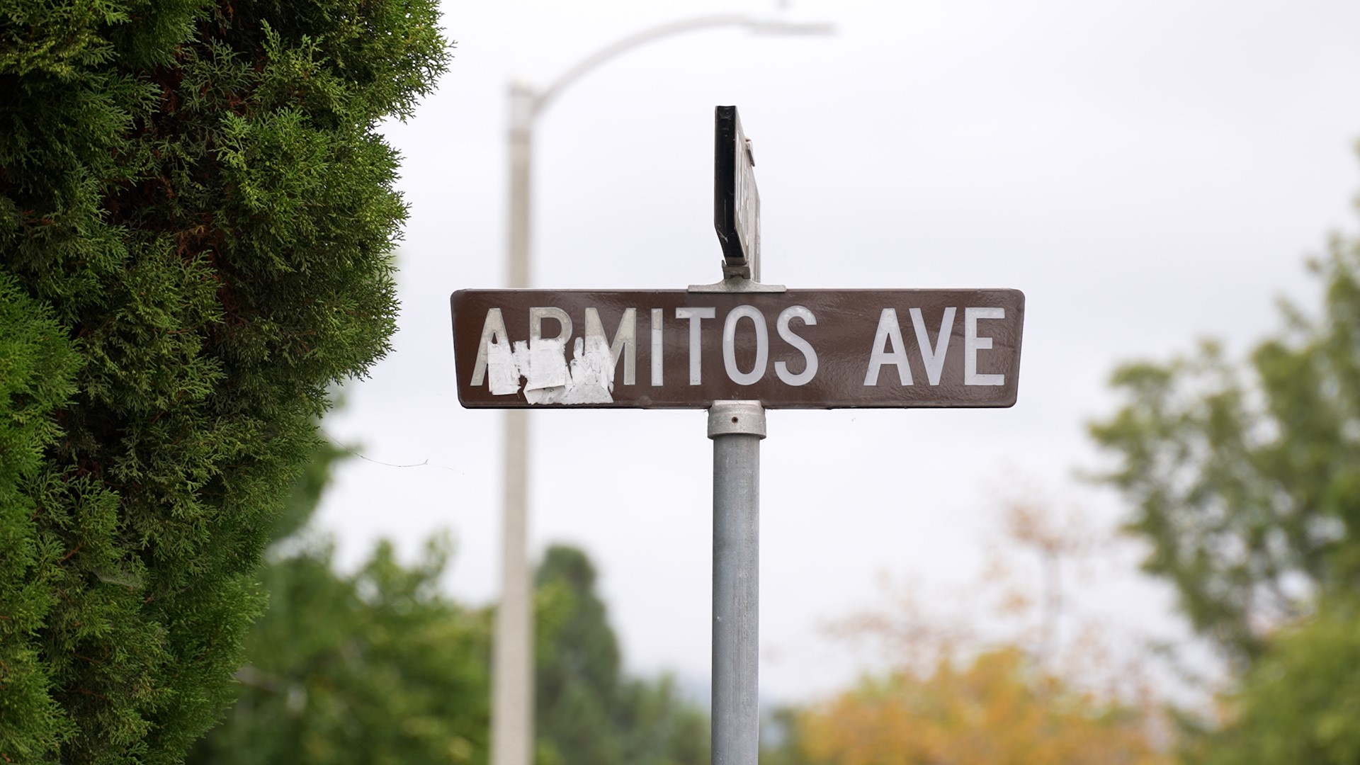 armitos avenue homicide.jpg