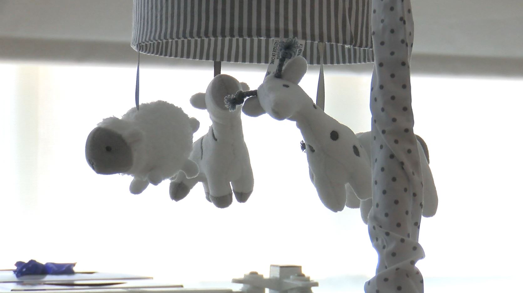 nicu.JPG