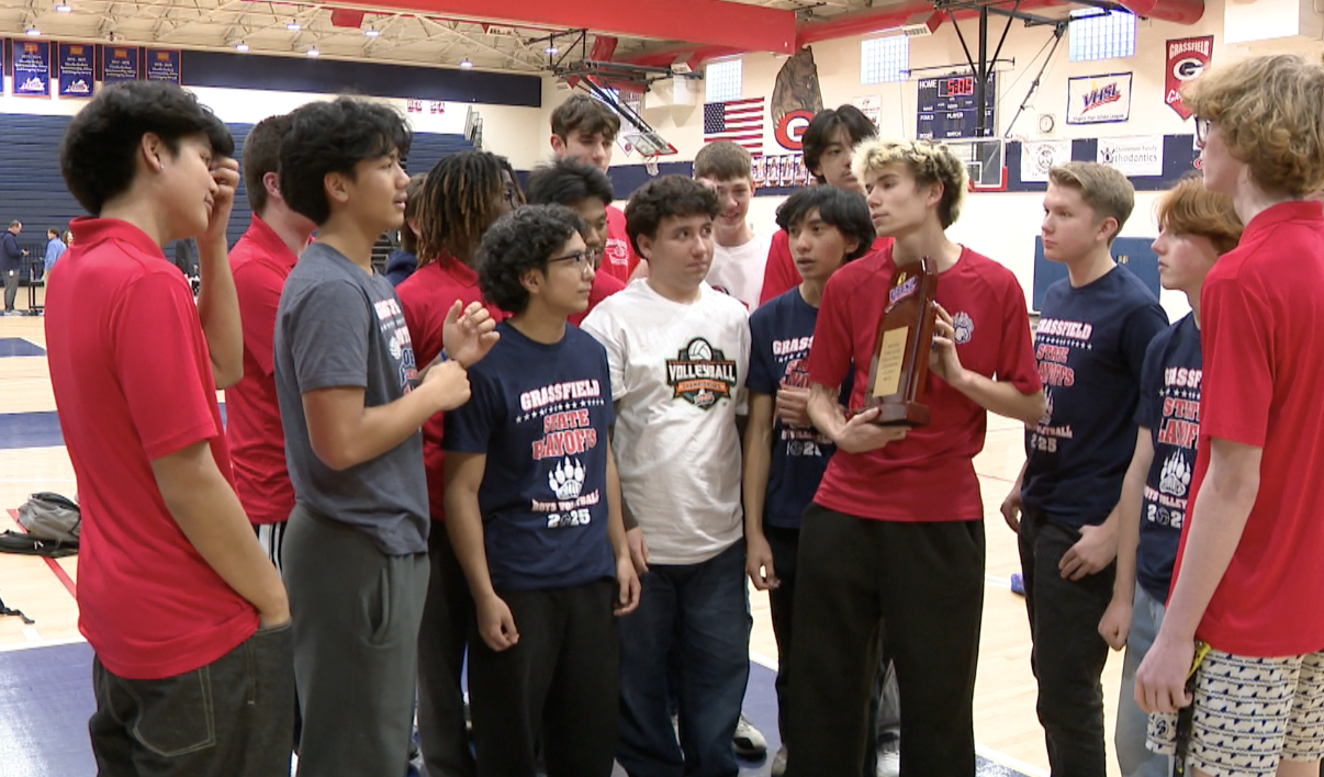 GRASSFIELD VOLLEYBALL