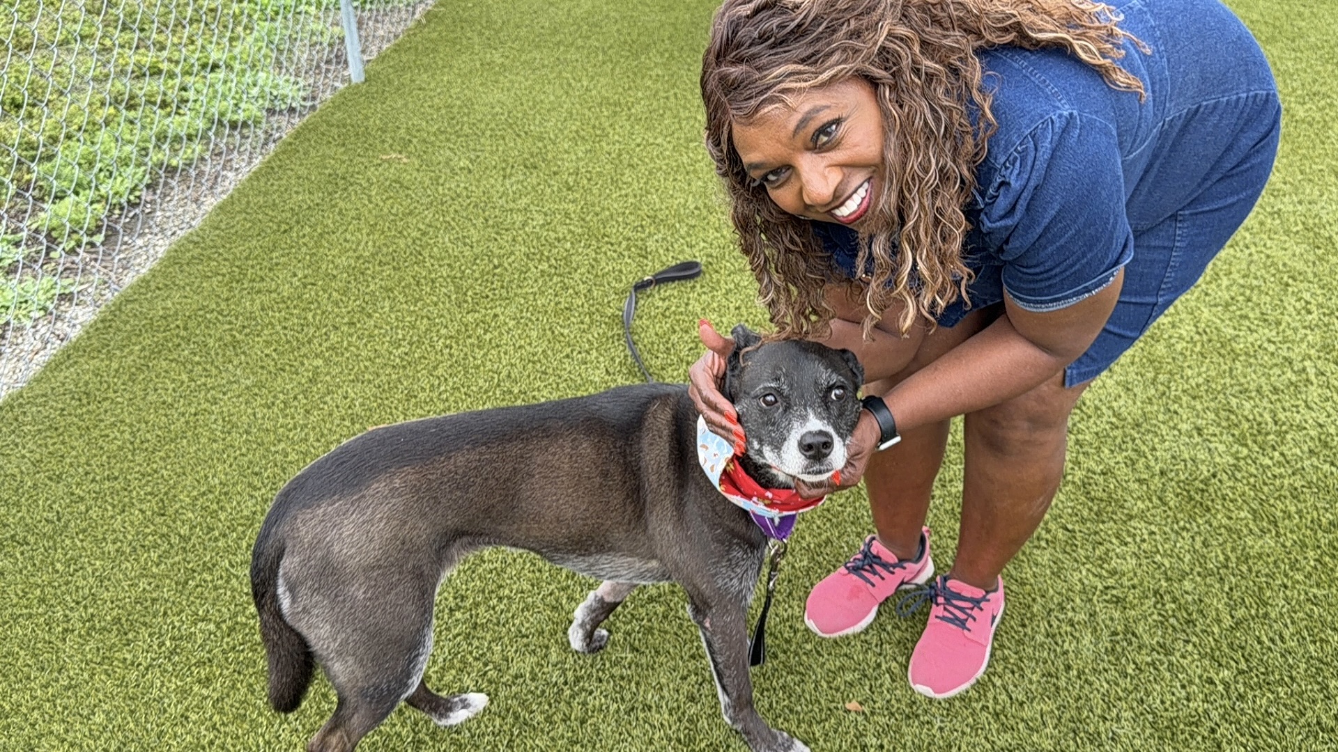 Underdog Jan. 9, 2025