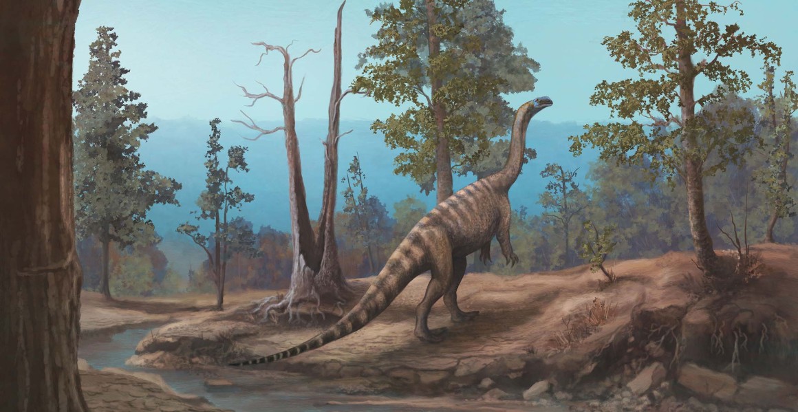 Musango matusadonaensis