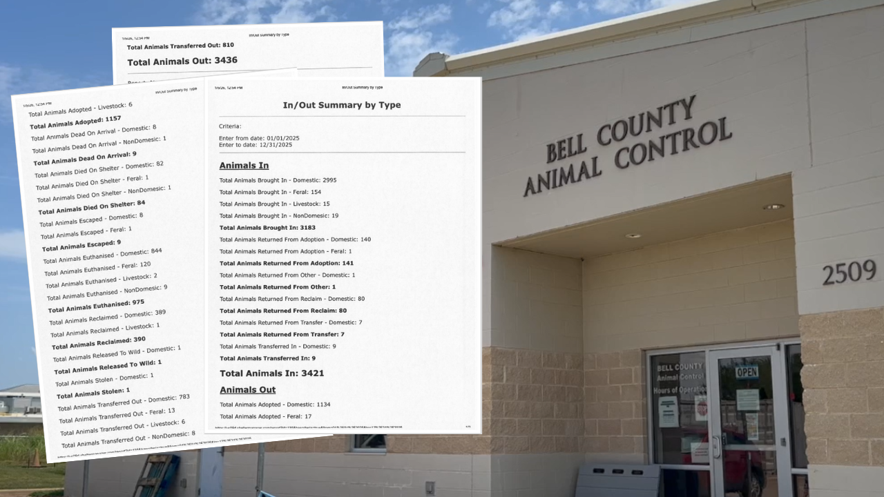 BELL CO ANIMALS EUTHANIZED 2025.png