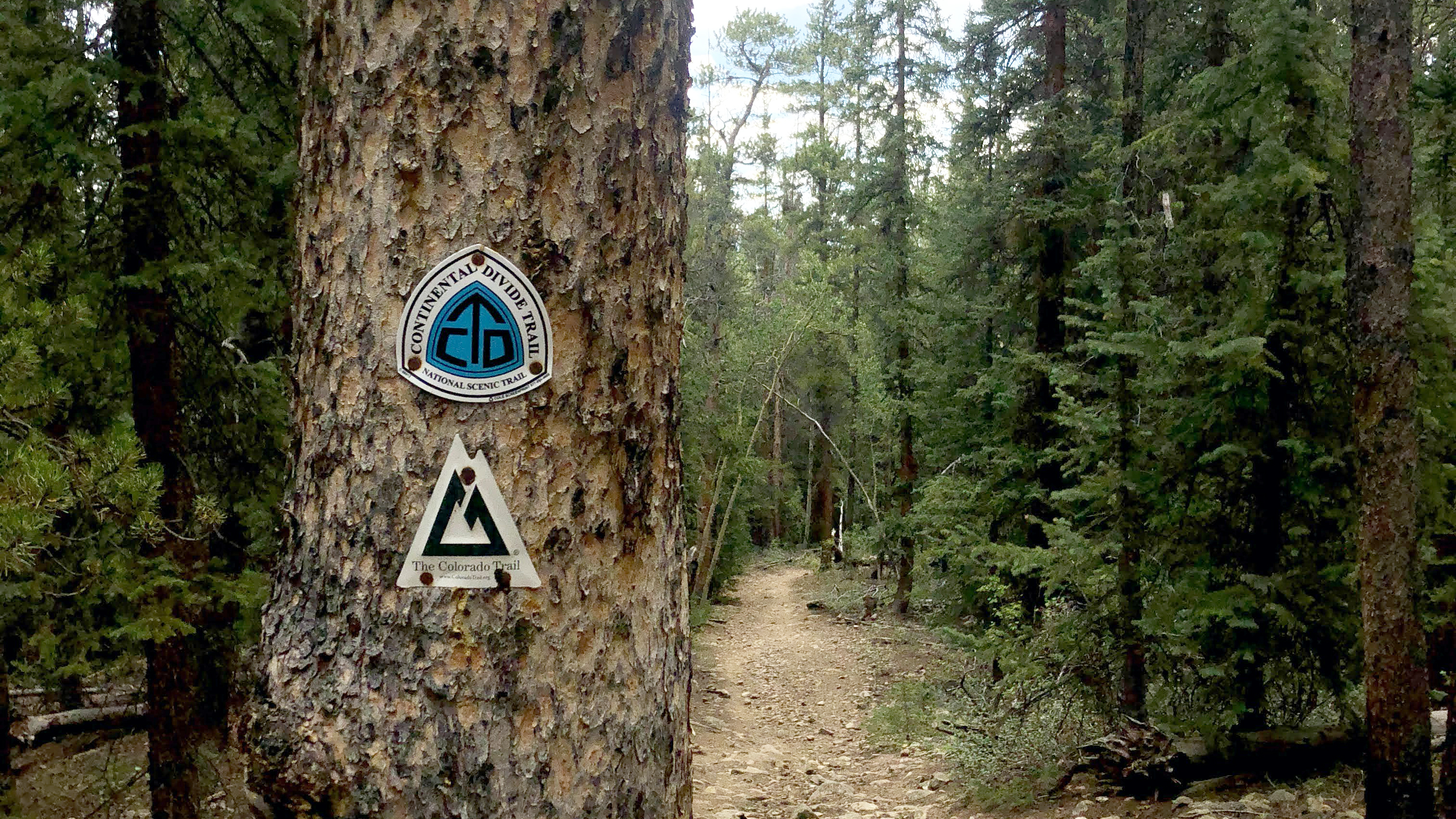 Tuesday marks the Continental Divide Trail’s 42nd birthday; 800 miles of trail runs through Colorado