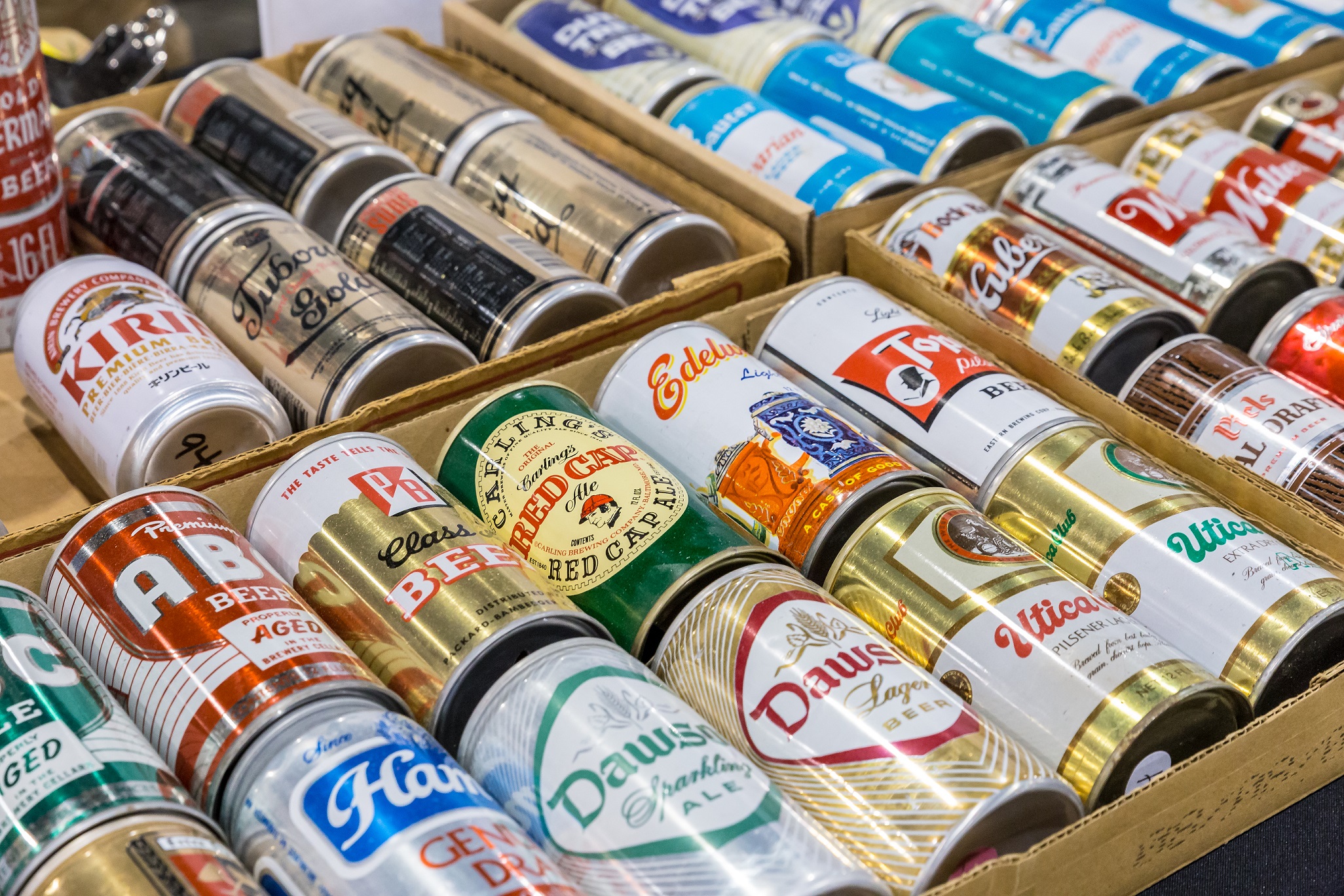 Real Wild & Woody Festival