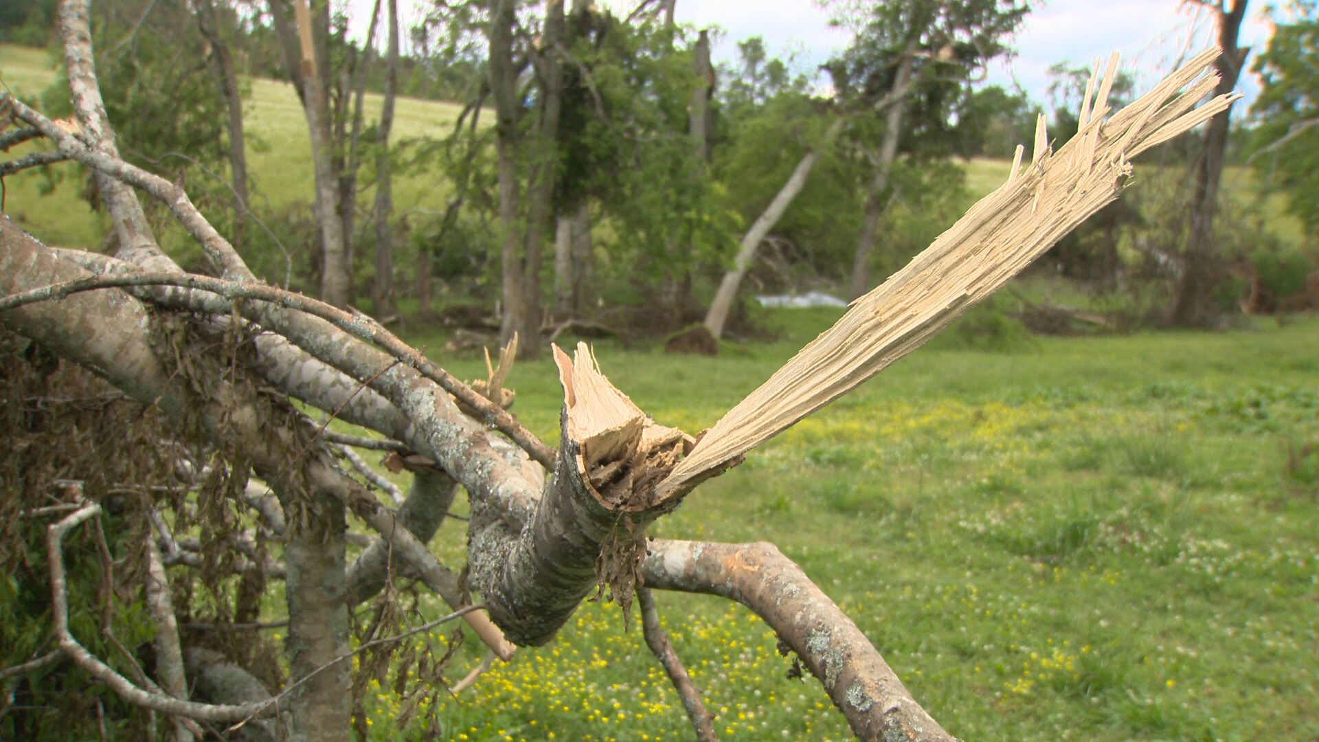 Maury County Tornado
