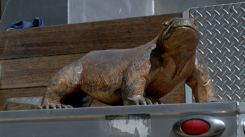 Komodo Dragon and Hummingbird Habitat San Diego Zoo