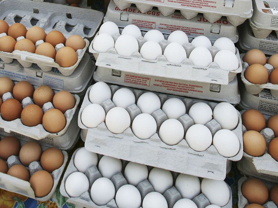 Eggs carton
