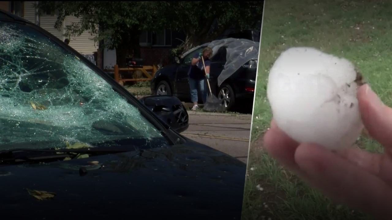 Insurance Damage