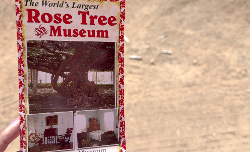 Stop to smell the roses at Tombstone's annual Rose festival