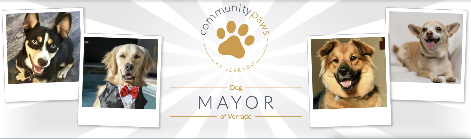 Screen Shot 2022-11-04 at 4.06.36 PM.png