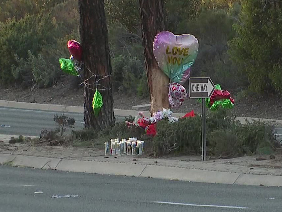 chula_vista_crash_vigil_021322.jpg
