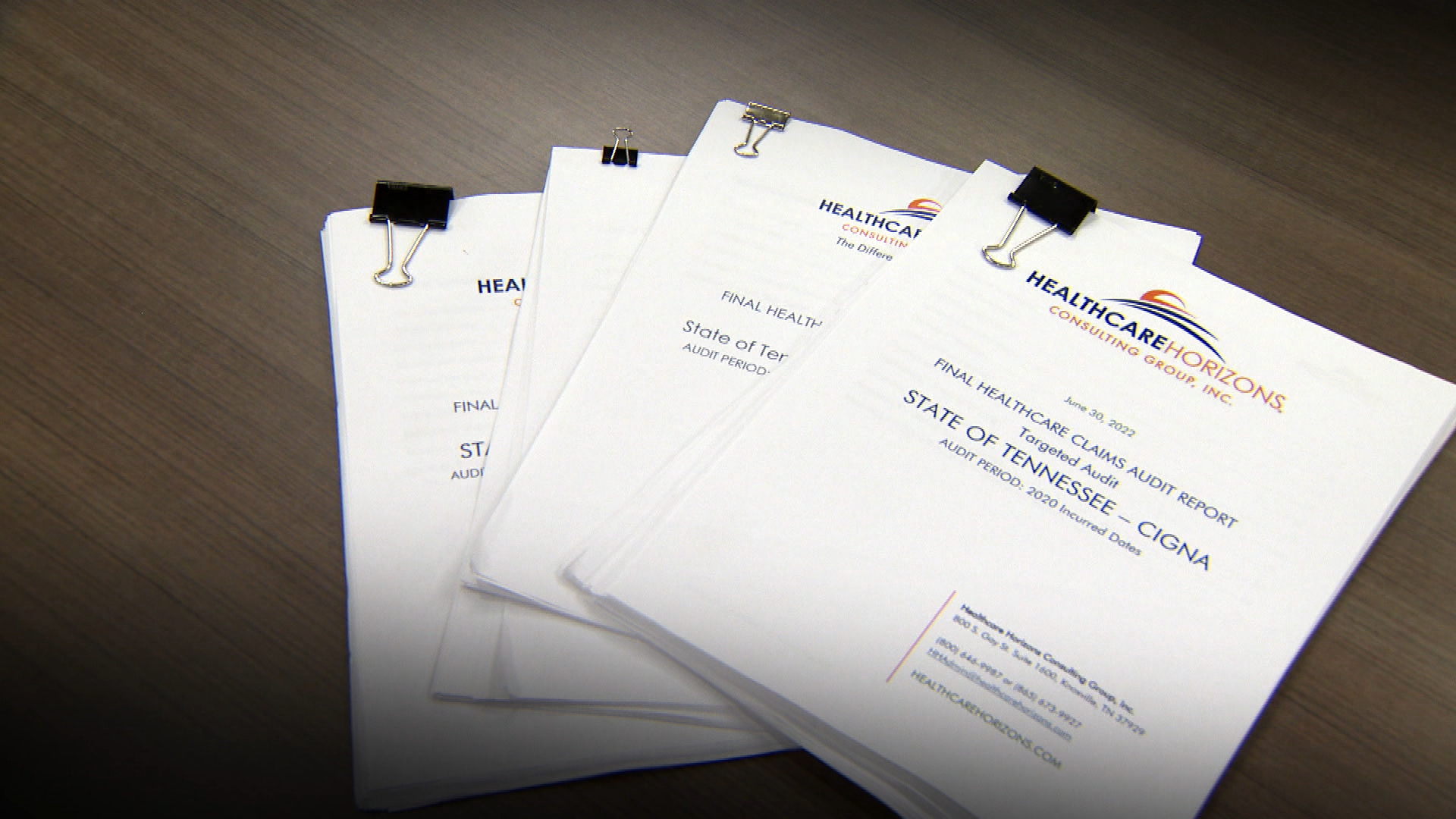 Healthcare Horizons audit of state health care plan 