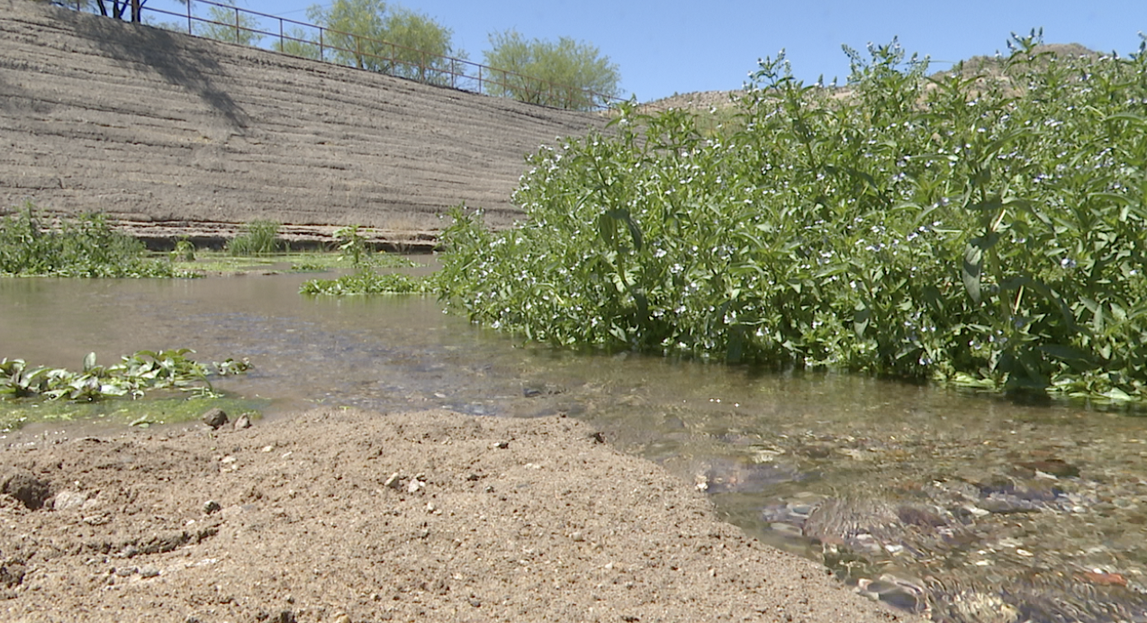 Santa Cruz River Heritage Project