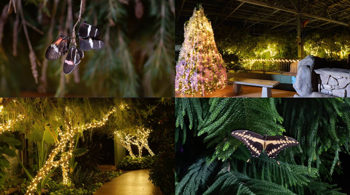 Glistening Gardens at Butterfly Wonderland in Arizona 