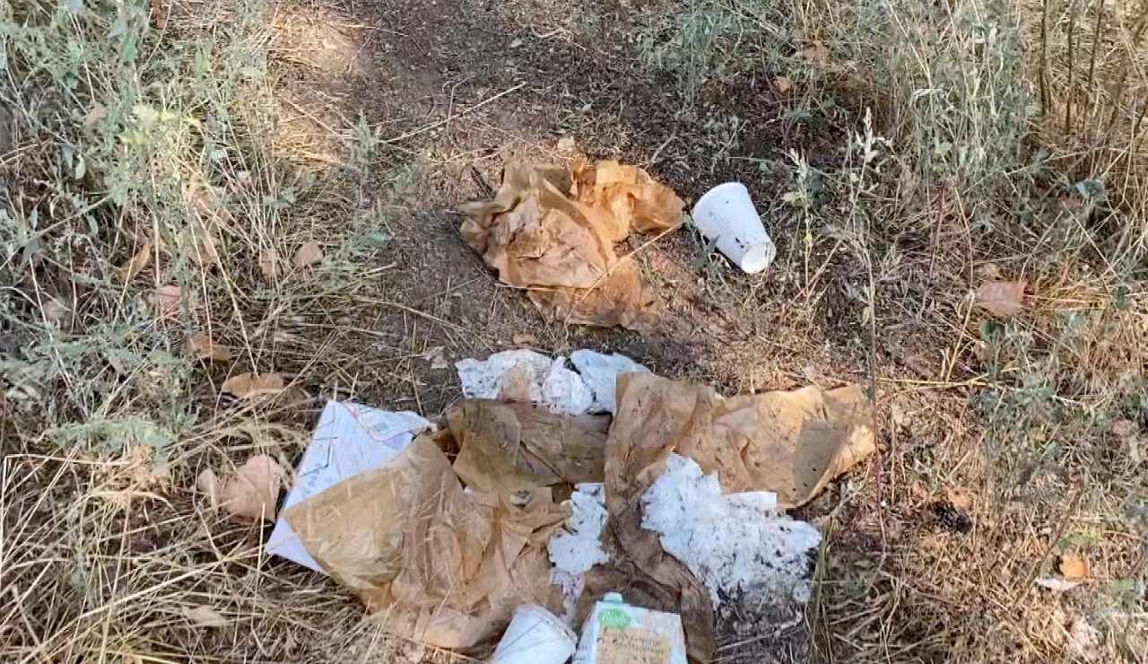 Bears a problem for Missoula bakery - Vimarsana News