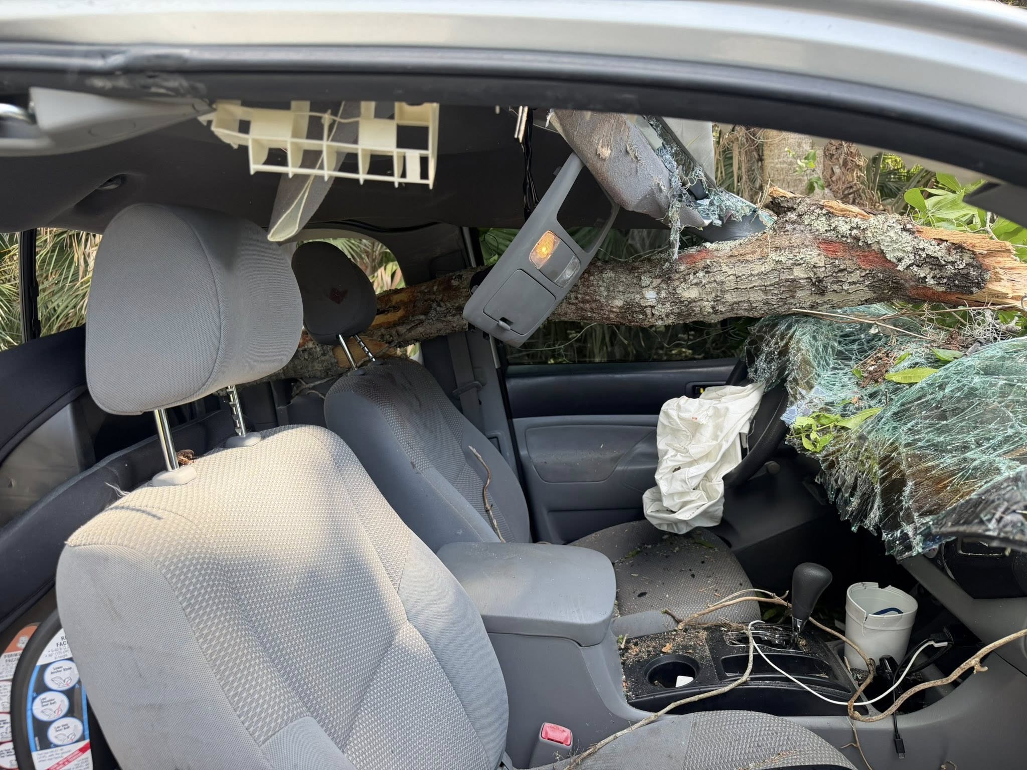 tree crashes on to car weather 03172026.jpg
