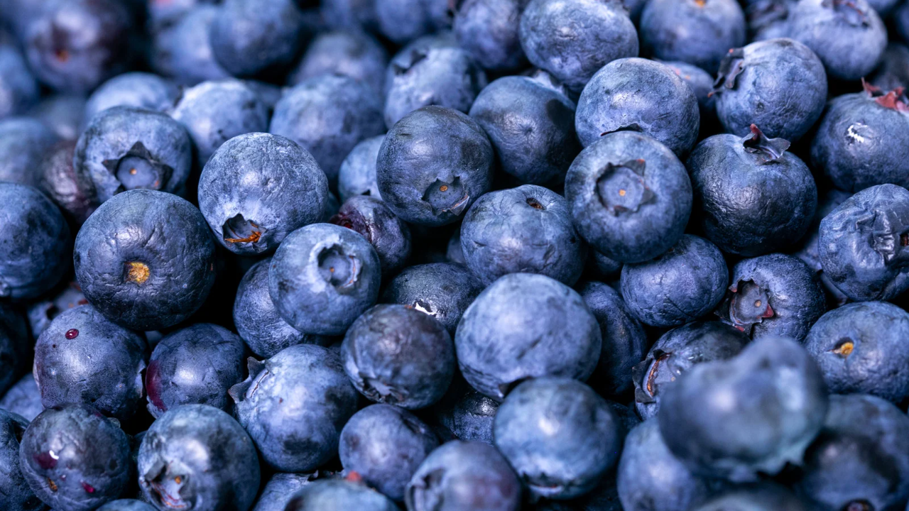 Blueberries.png