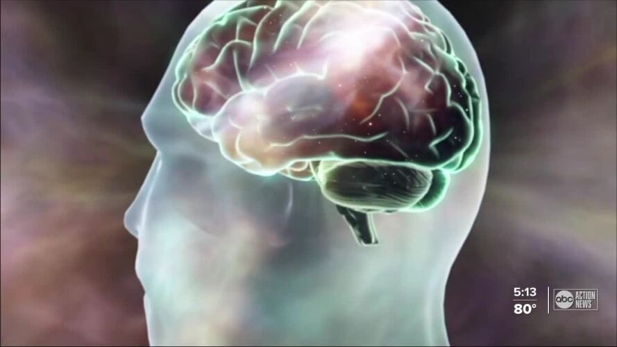 Brain.jfif