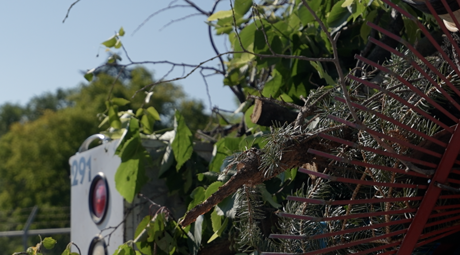 Urban Forestry 0723