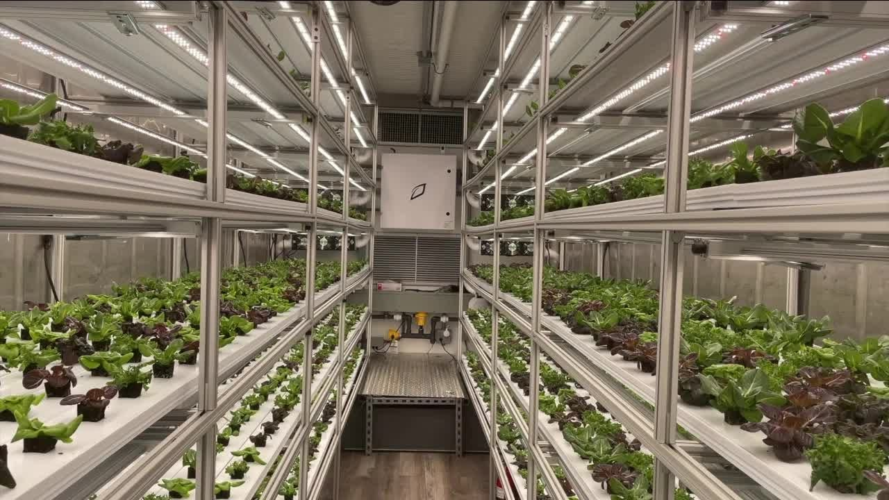 vertical farming.png