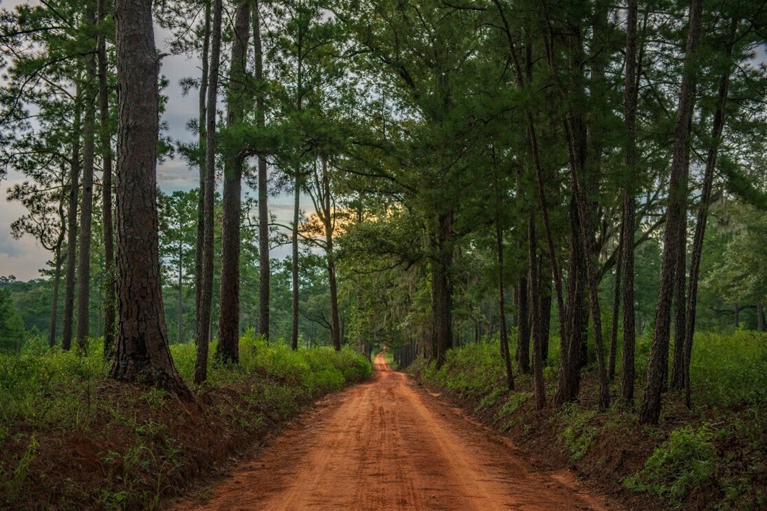 red-hills-picture_original.jpg