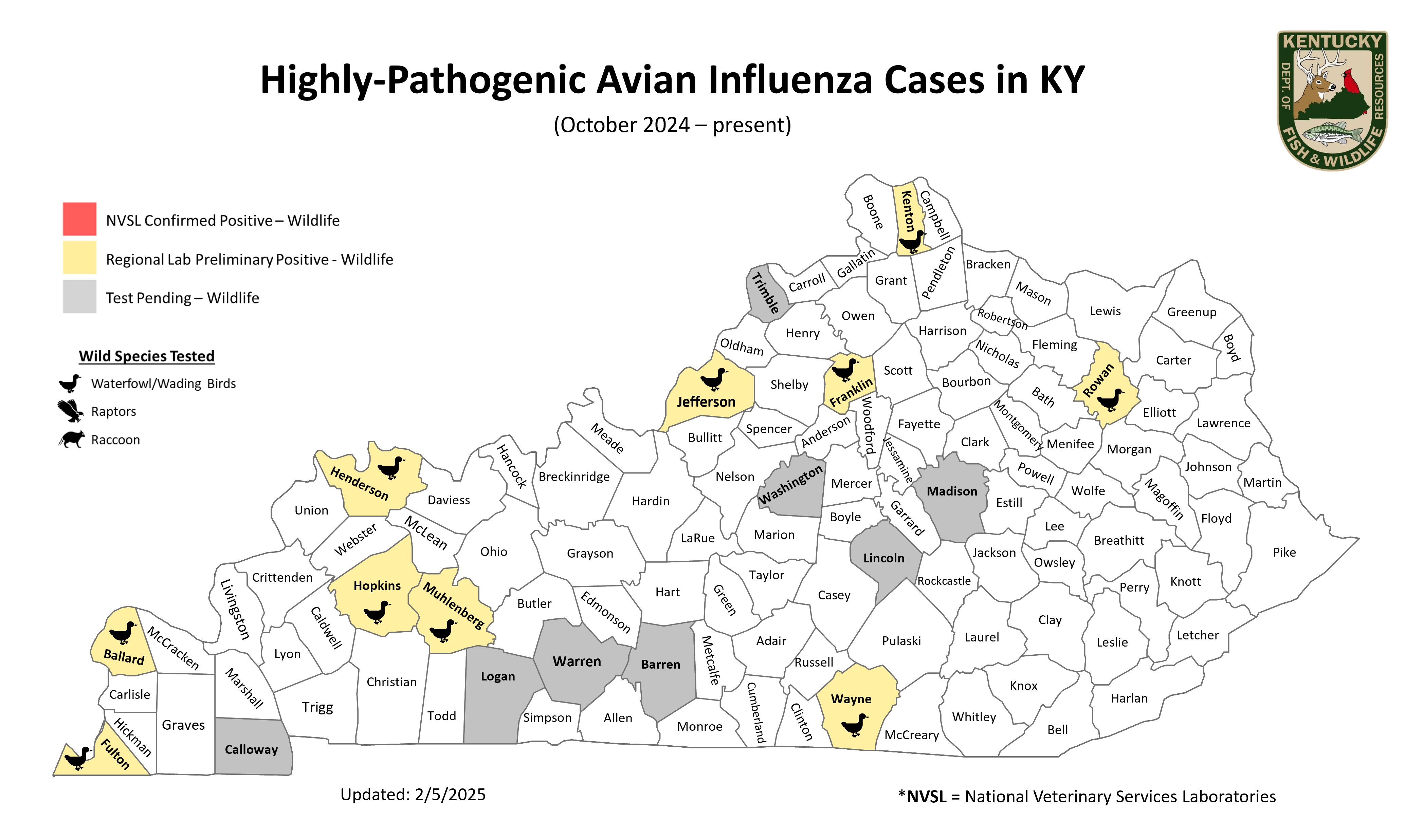 KY bird flu cases