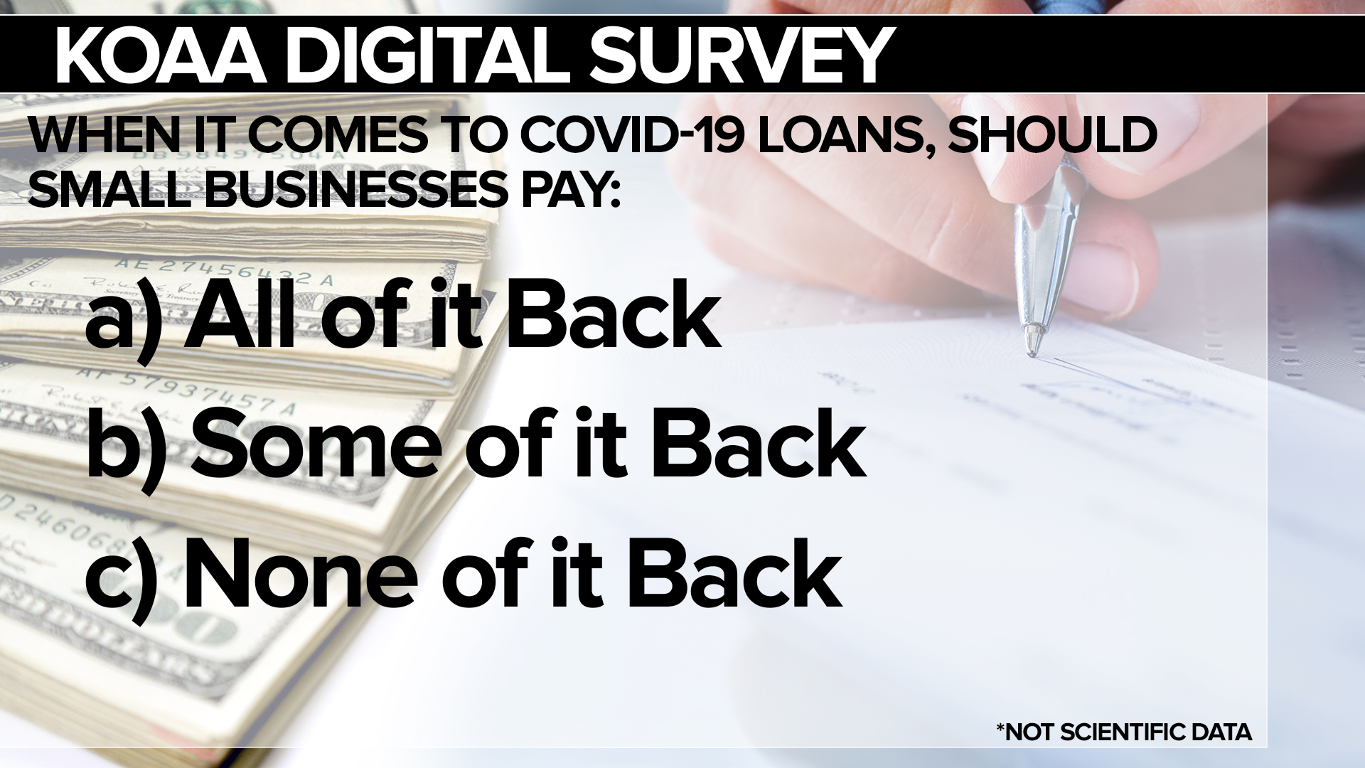 SURVEY Covid Loans FSG.jpg