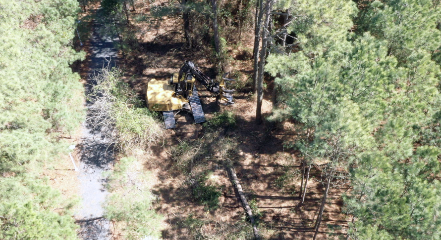 Pleasure House Point