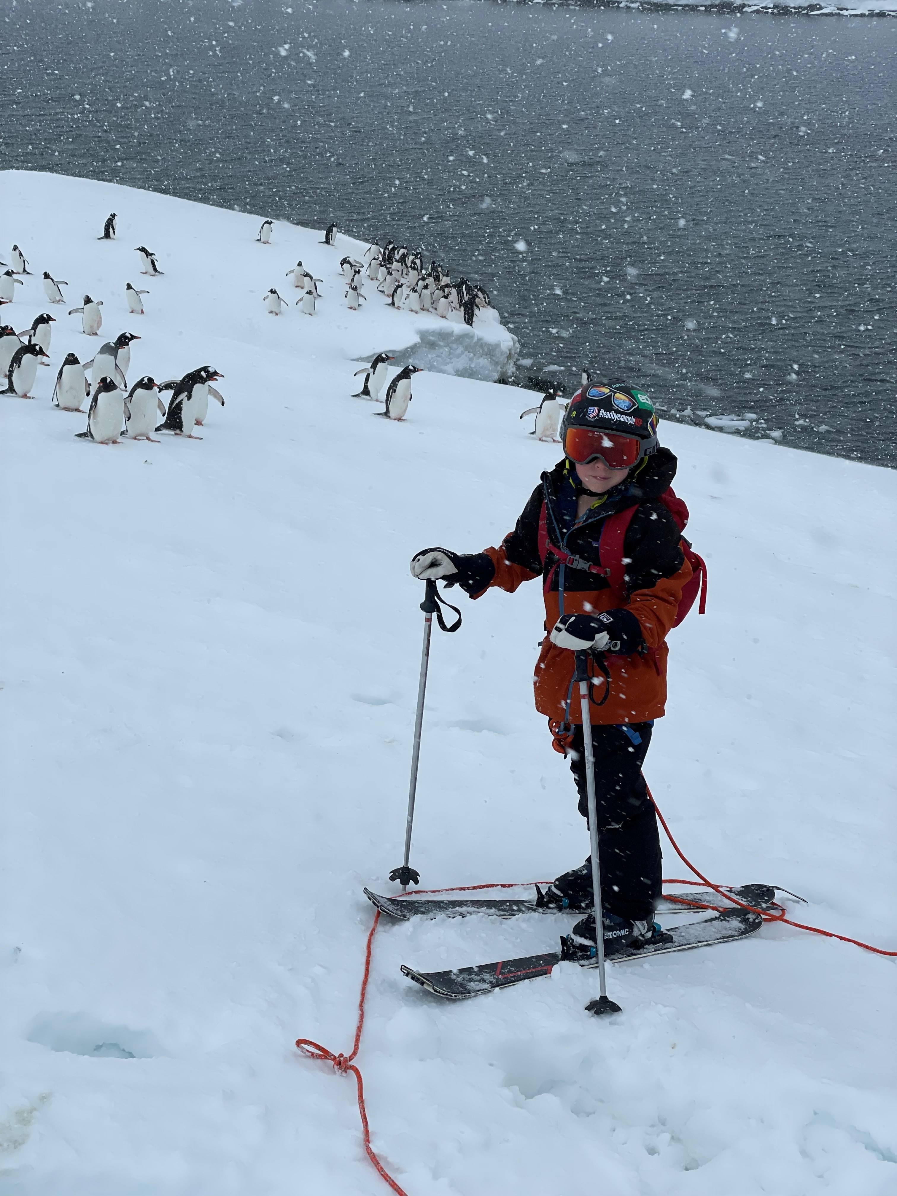 Maddock skis the seven continents