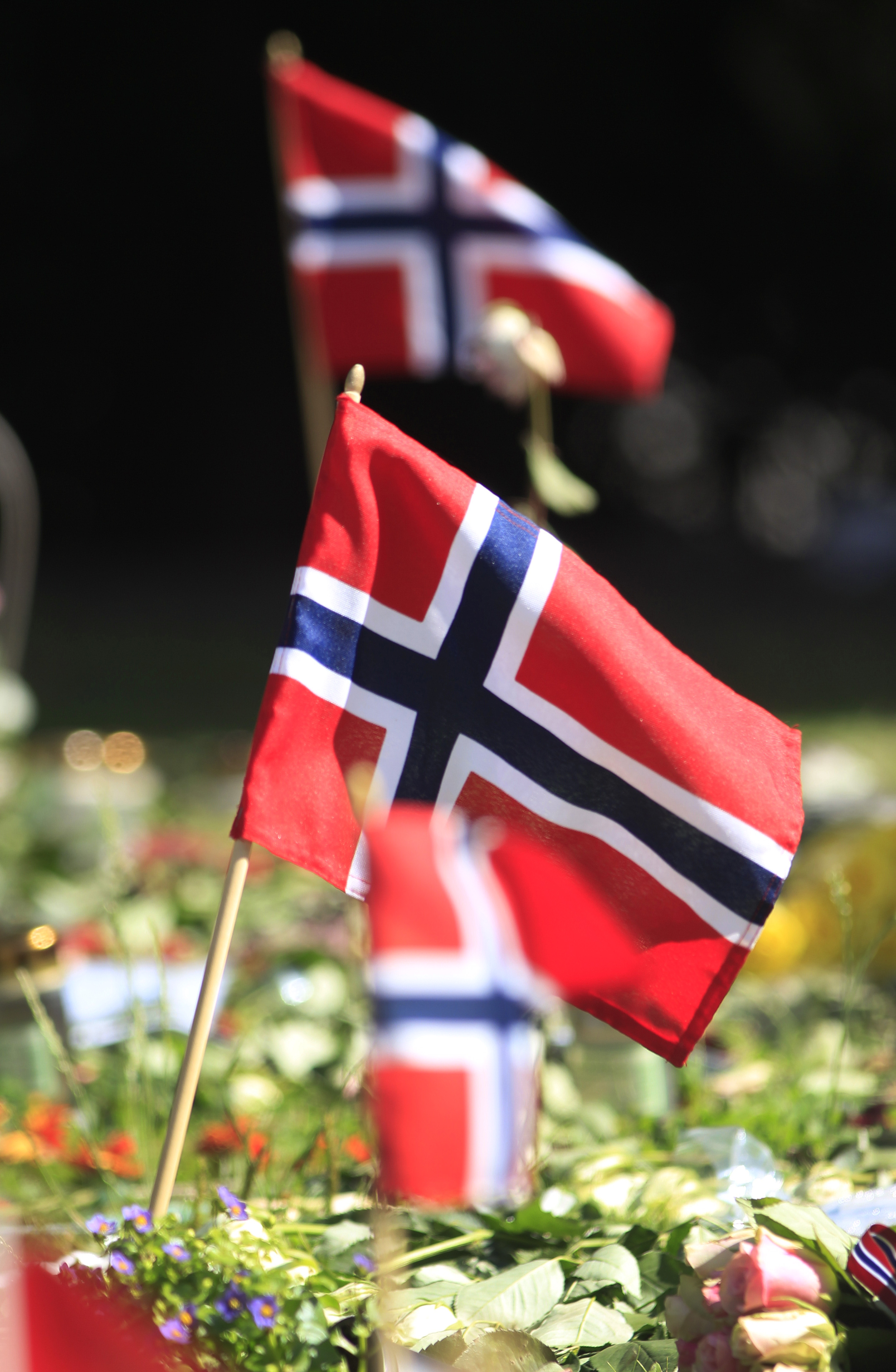 Couple in Confederate flag flap finds Scandinavian solution