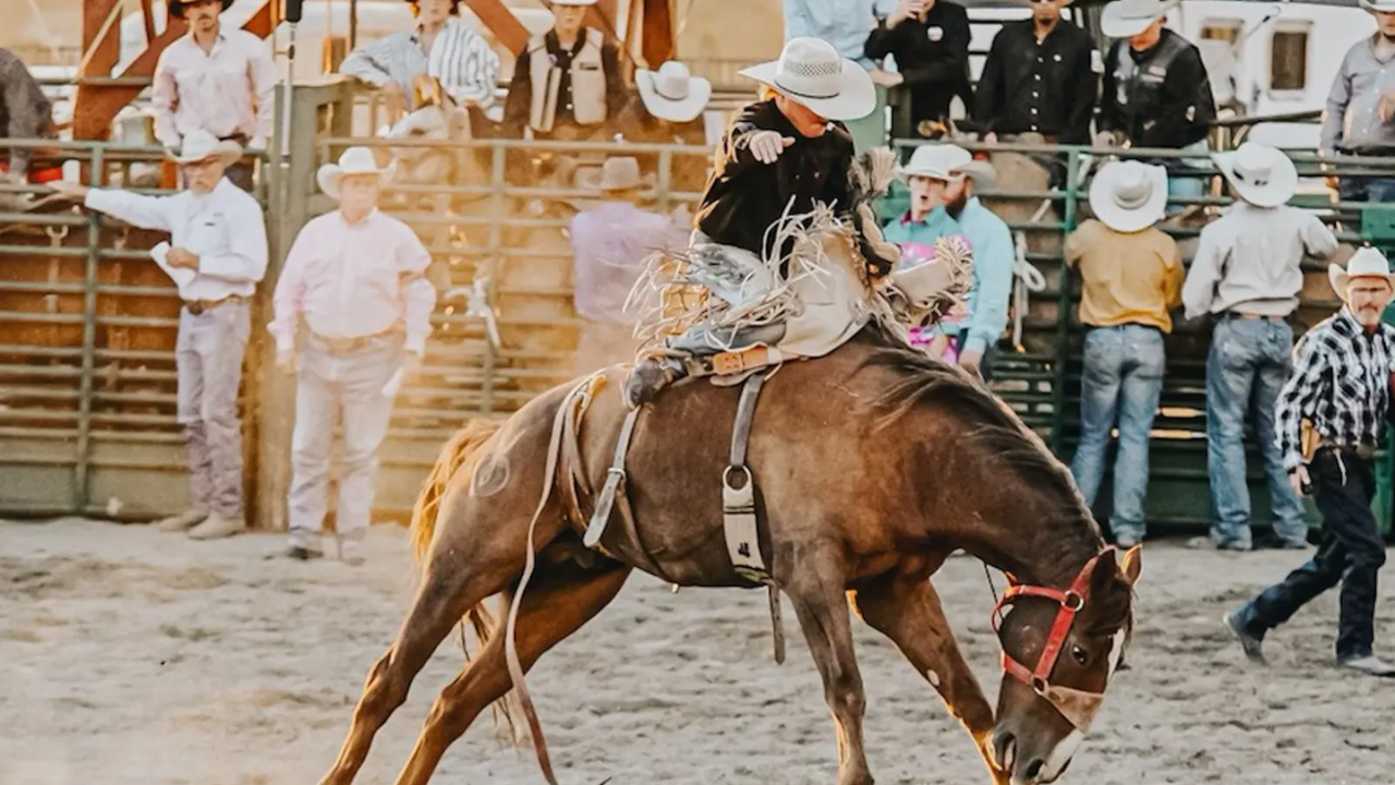 Obon, rodeos, wildflowers and MORE events happening across Utah this weekend!