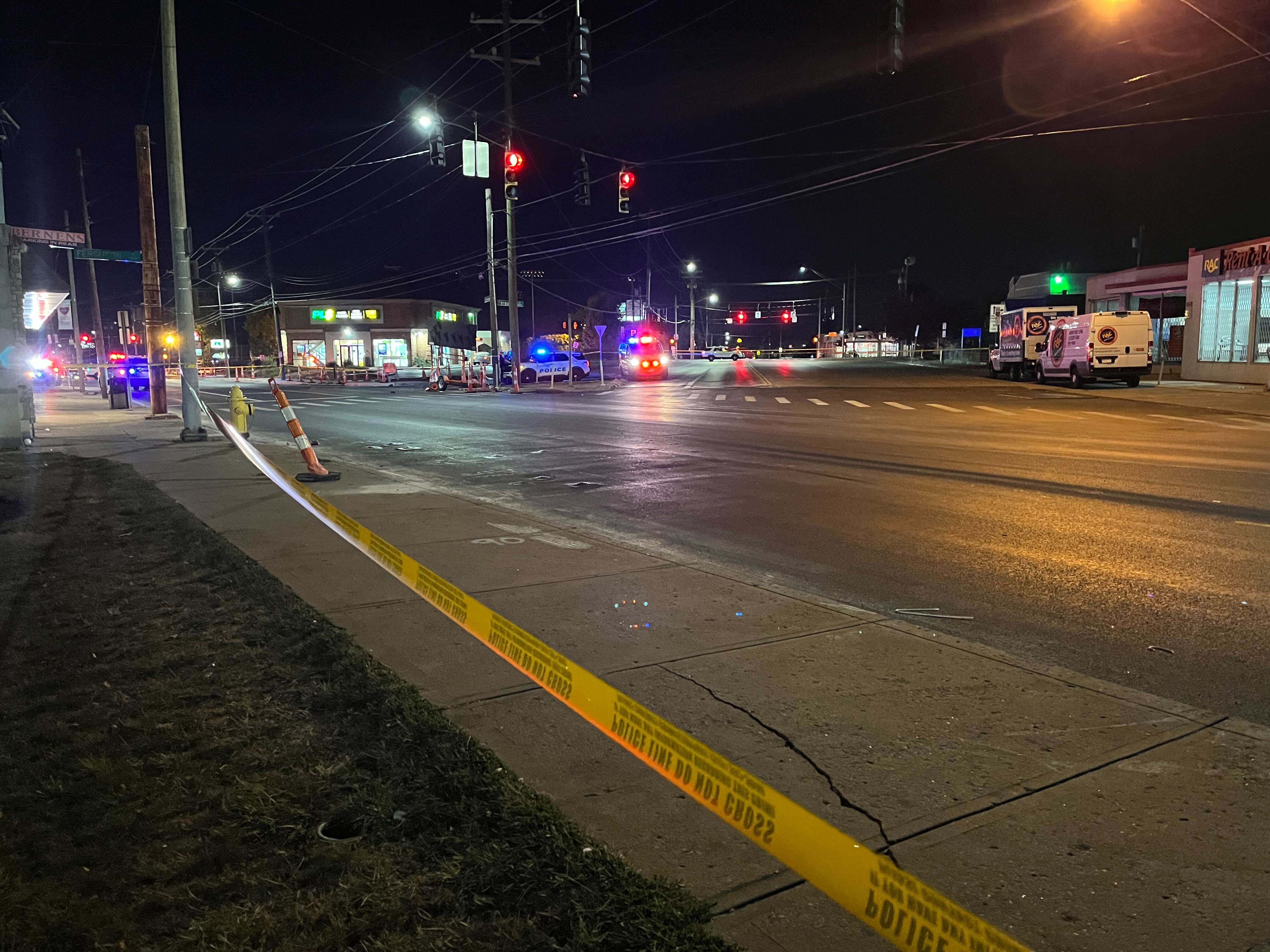 West Price Hill Pedestrian and Dogs Killed by Holland Rains.jpg