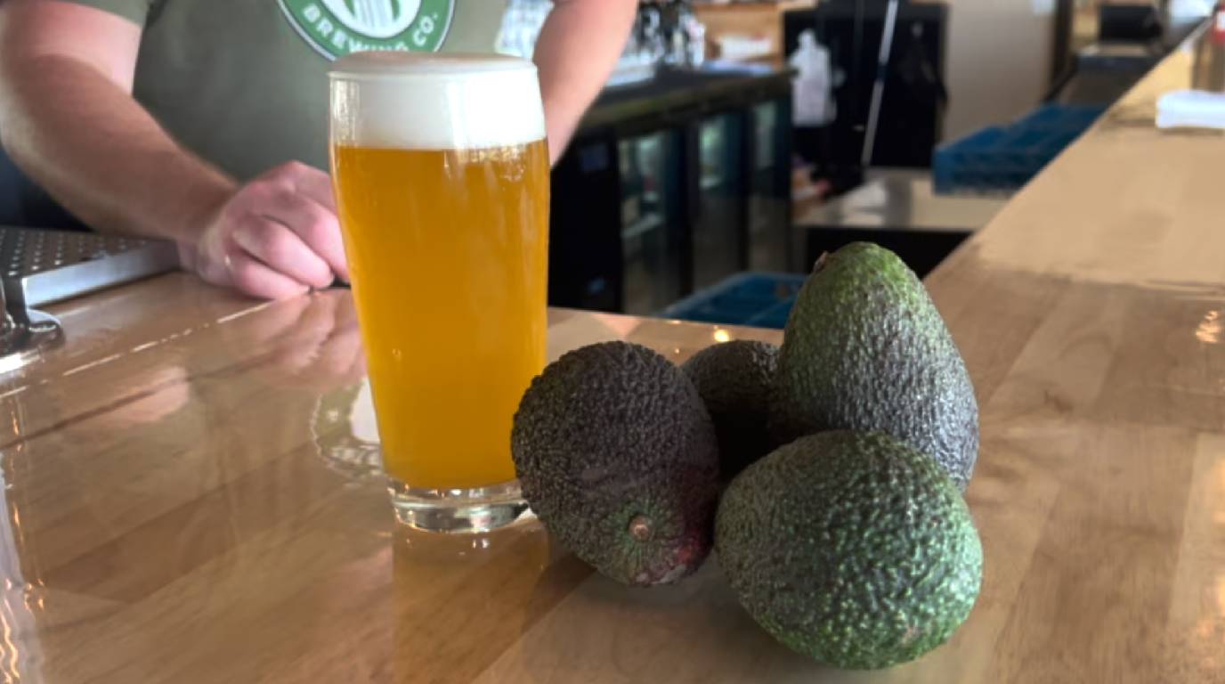 Avocado Kolsch Beer at Patent 139 Brewing Co.