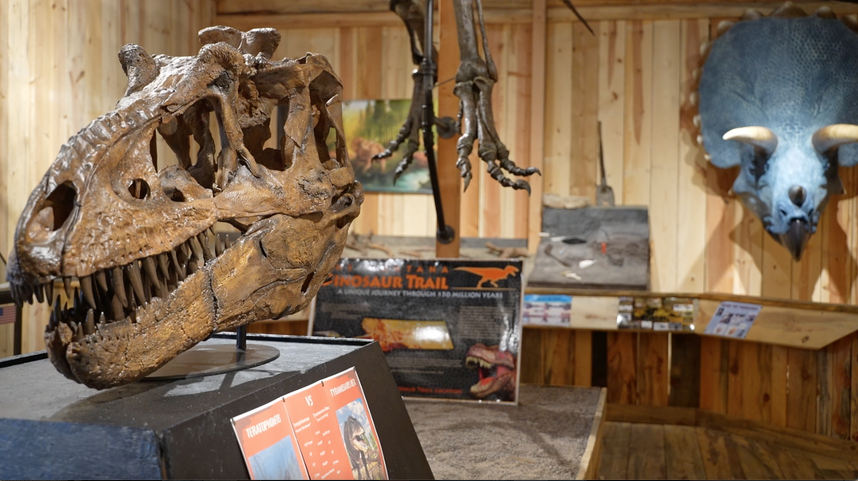 Musselshell Valley Historical Museum in Roundup, Dino Depot exhibit 